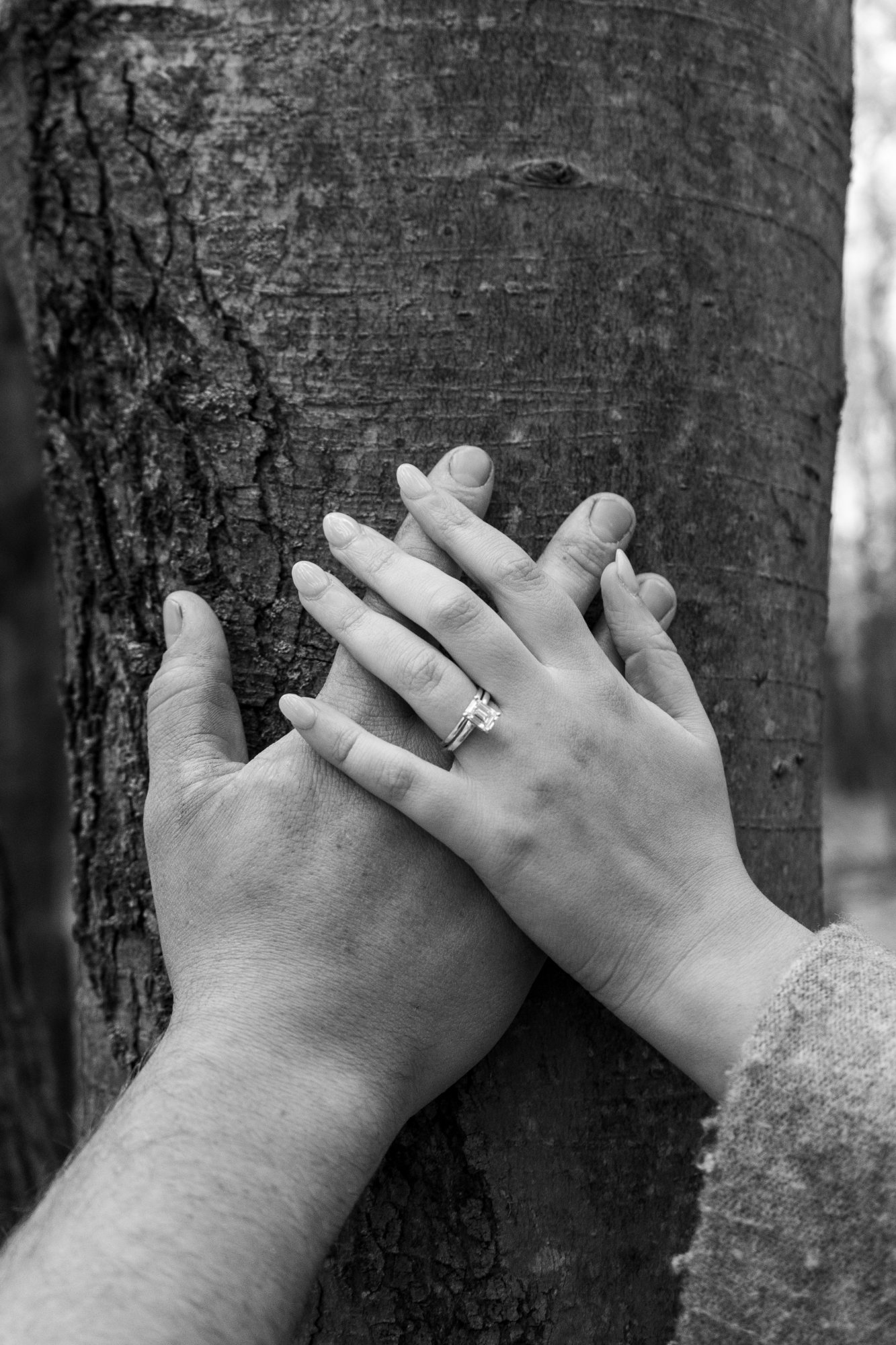 Hands on tree B&W